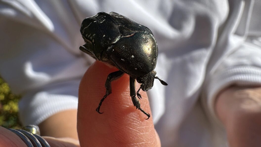    Фото: Alexander Legky/Globallookpress