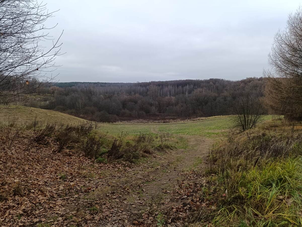 Стоя там ощущаешь себя почти, как в заповеднике. 