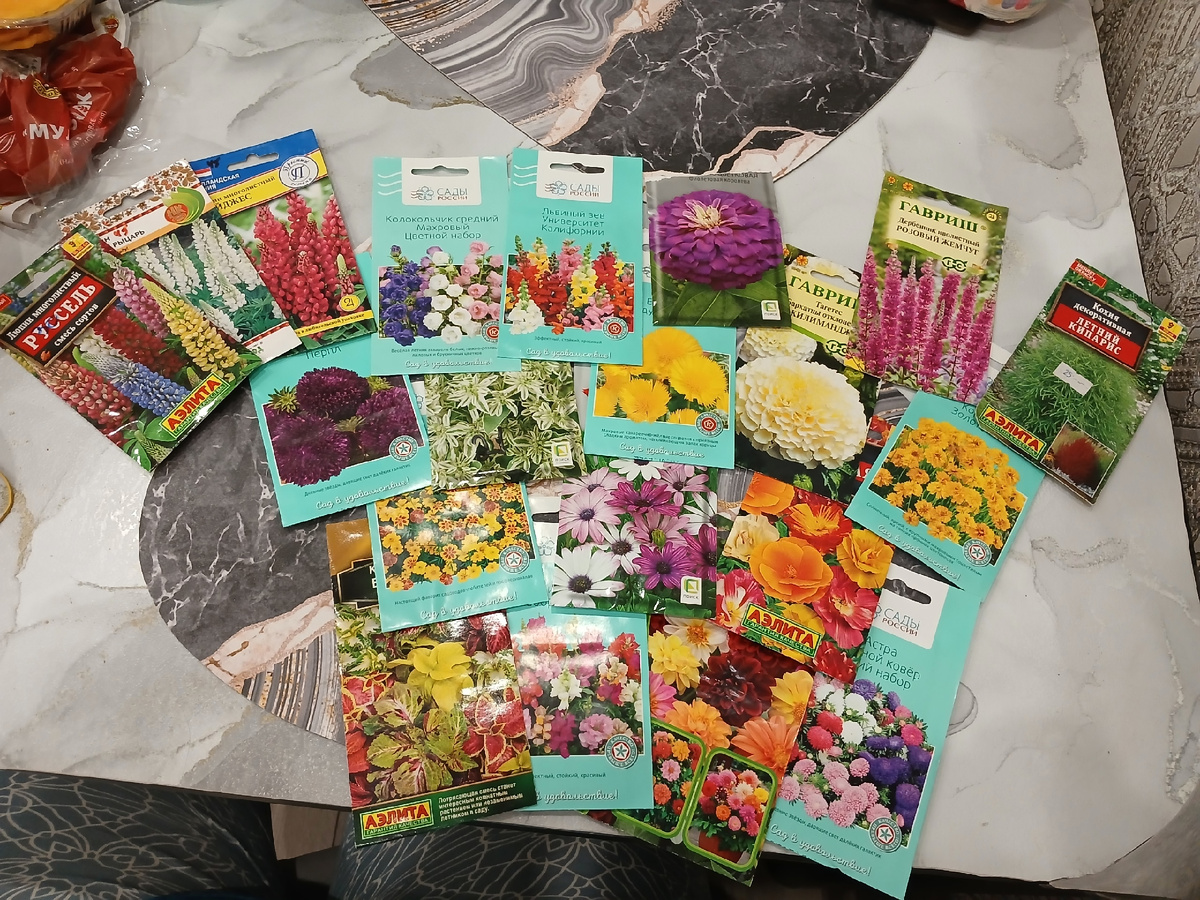 Первоначальный расклад - то, как цветник должен был выглядеть по плану