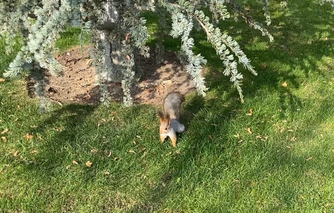 Первая встреча