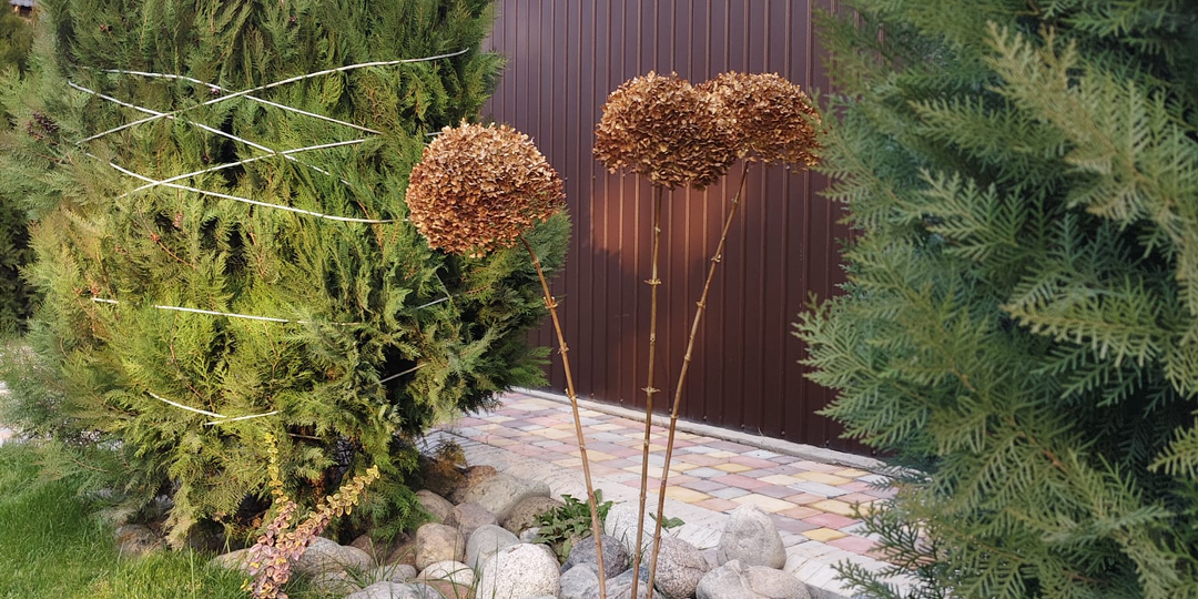 Осеннее воскресенье. В загородном доме - закупка, готовка, баня и санитарные работы на участке