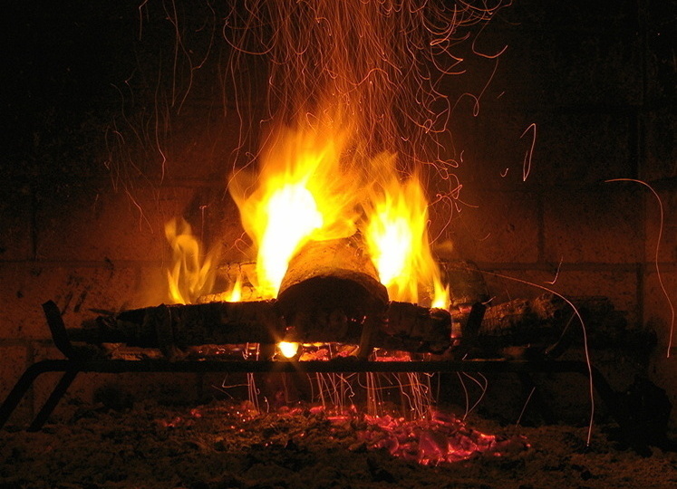 Плавно увеличивая подачу огня. Цены для охотников РФ повысят поэтапно