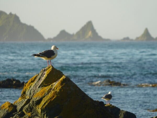    © РИА Новости Данил Годлевский