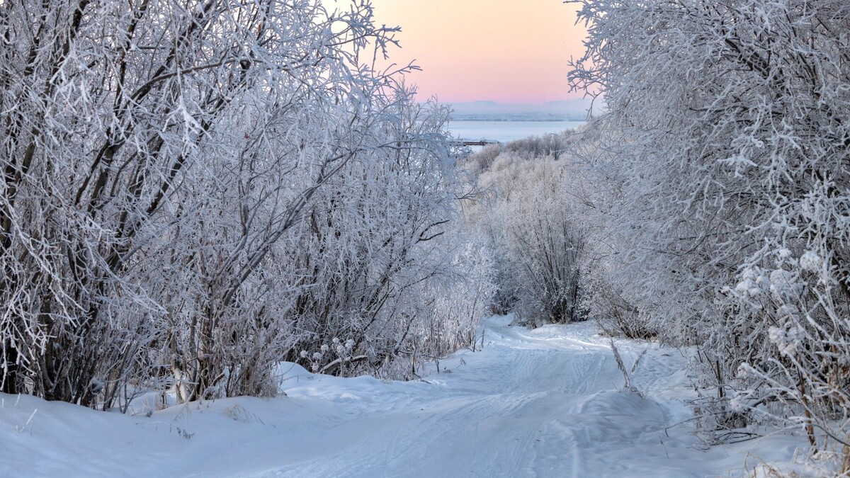    Фото: Фёдор Воронов / «Ямал-Медиа»