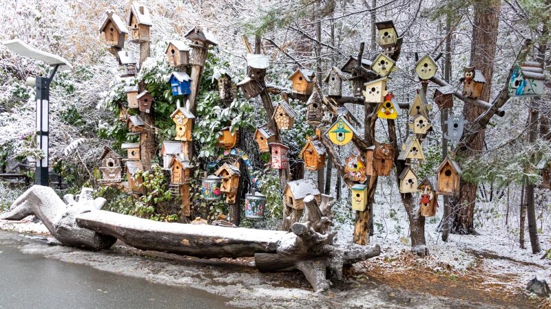     Зимняя сказка в Новосибирском зоопарке Телеграм-канал Новосибирского зоопарка