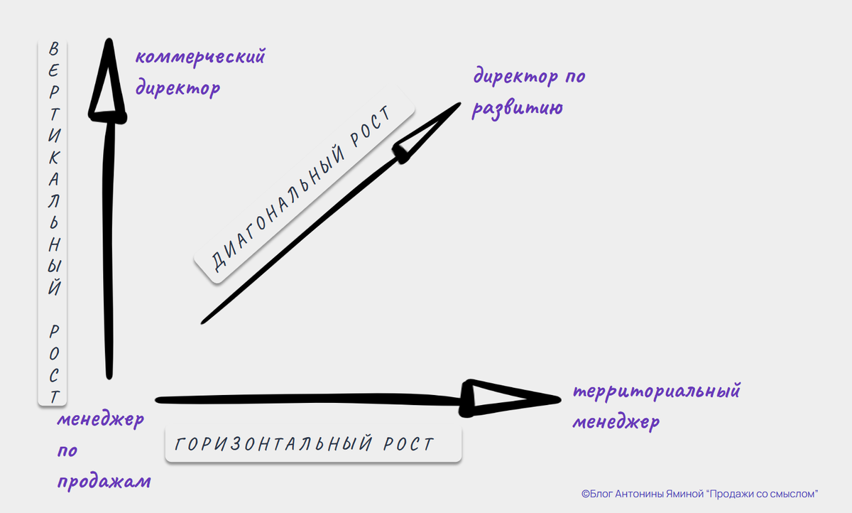 Один из многочисленных вариантов карьерного трека из менеджера по продажам