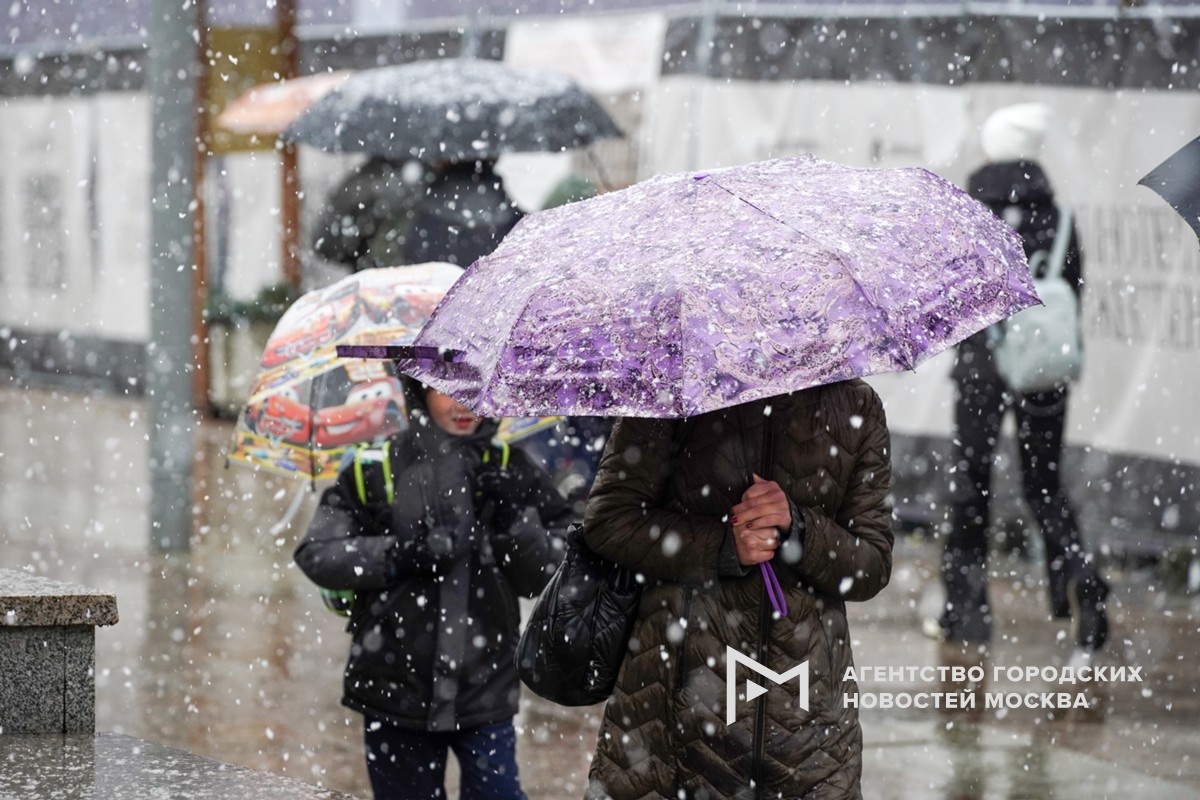 Фотограф: Александр Авилов