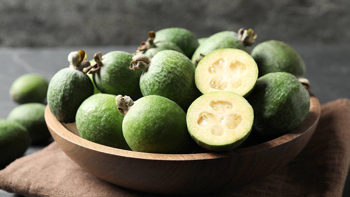    Фото: Shutterstock