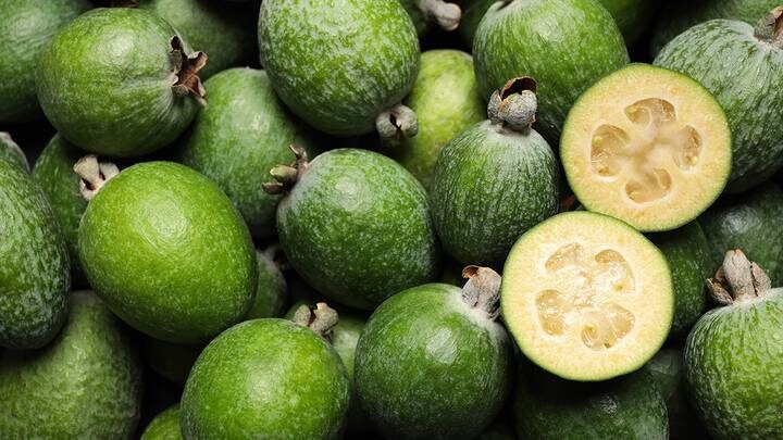  Фото: Shutterstock