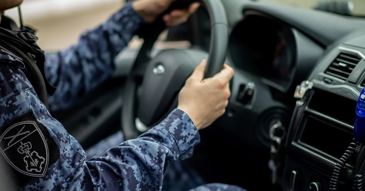 Фото: Росгвардия Краснодарский край / телеграм-канал