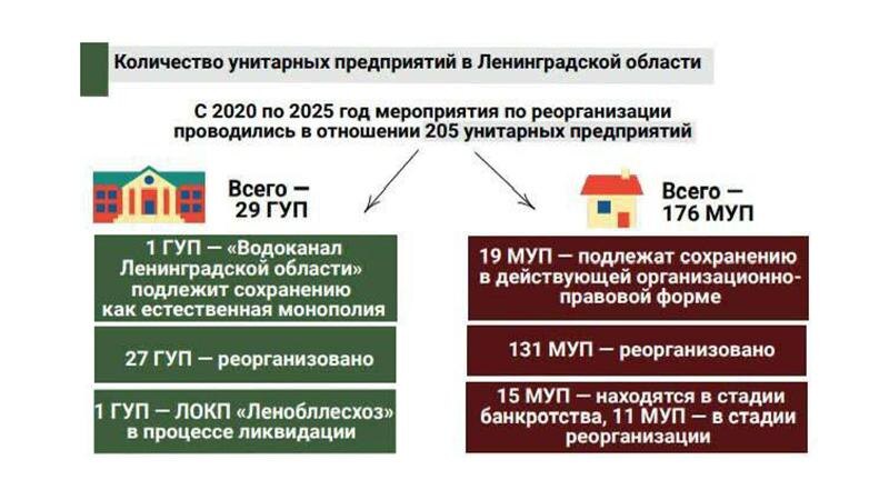   Фото: t.me/lenobladminka