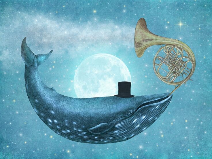 Песня горбатого кита имеет иерархическую структуру, сравнимую с человеческой музыкой: ноты складываются в фразы, фразы — в темы, а темы — в полную песню.