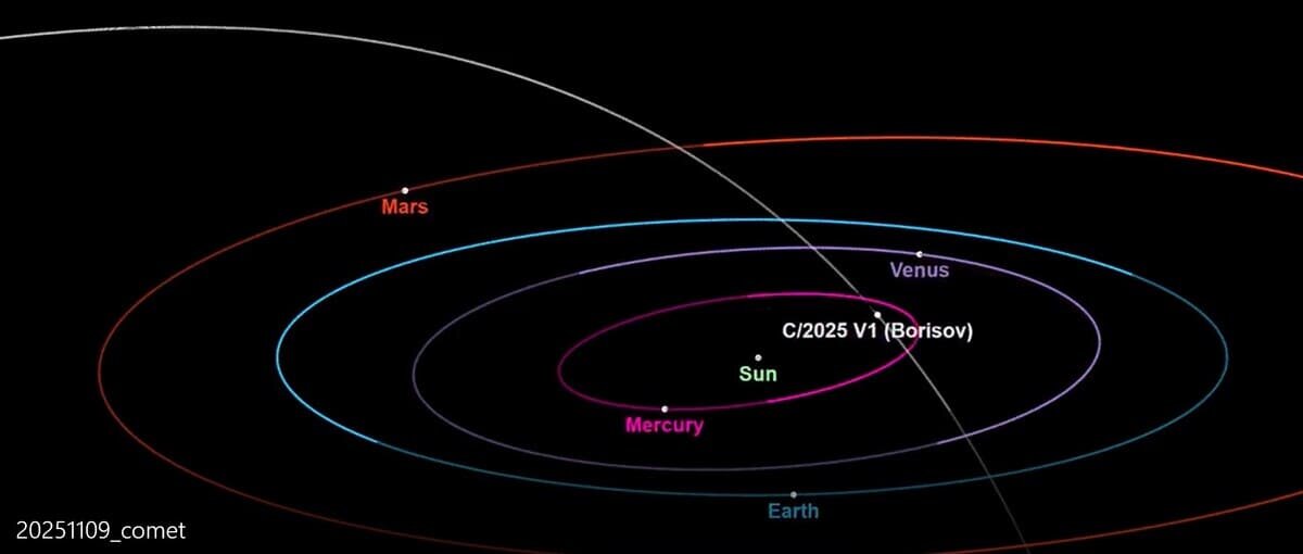    Траектория движения кометы C/2025 V1 (Borisov) / © Telegram-канал лаборатории солнечной астрономии ИКИ РАН