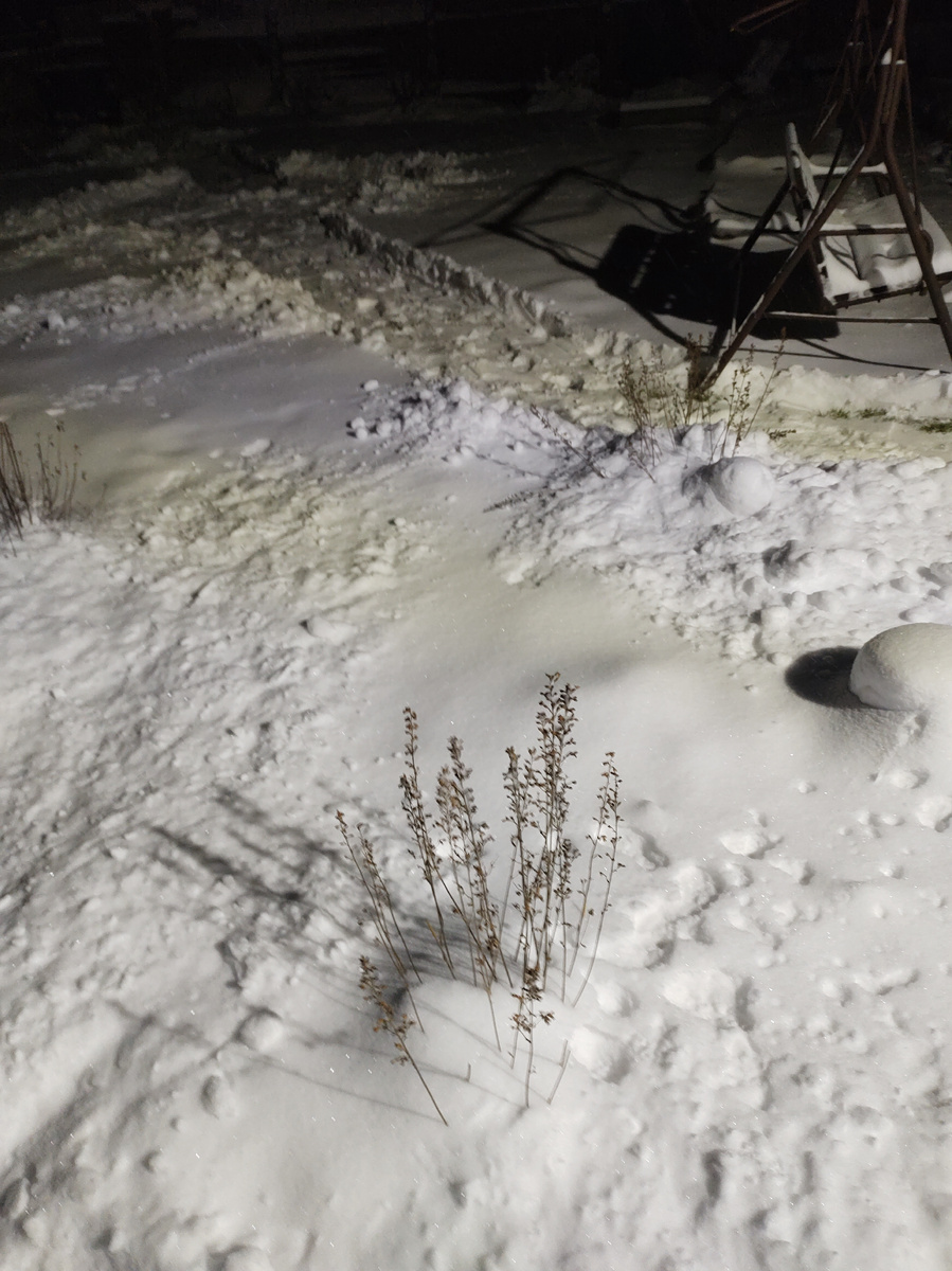 7 ноября, фото автора 