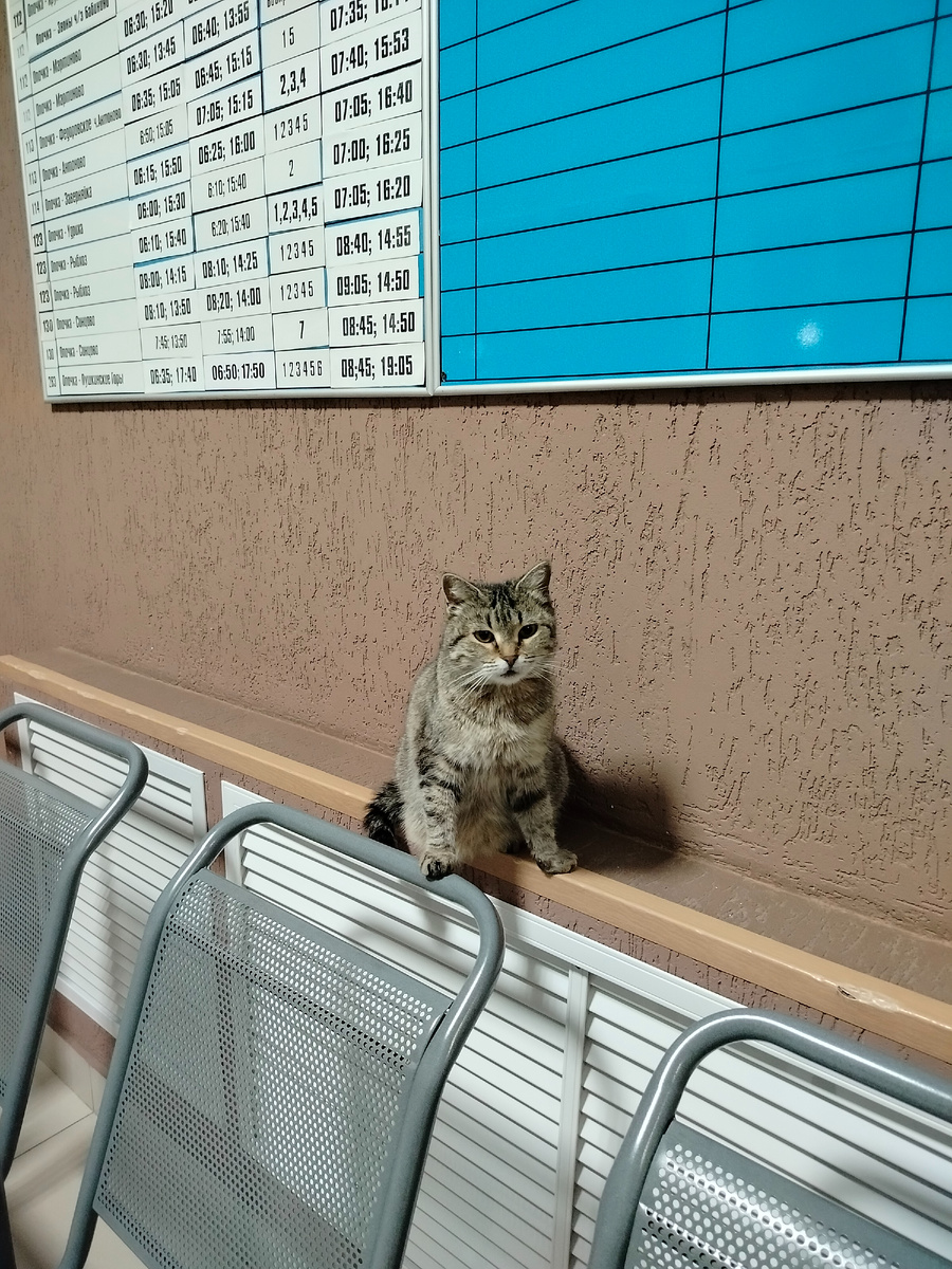 Деловая такая (или деловой?)