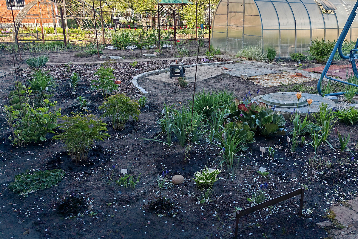 Апрель, все только просыпается