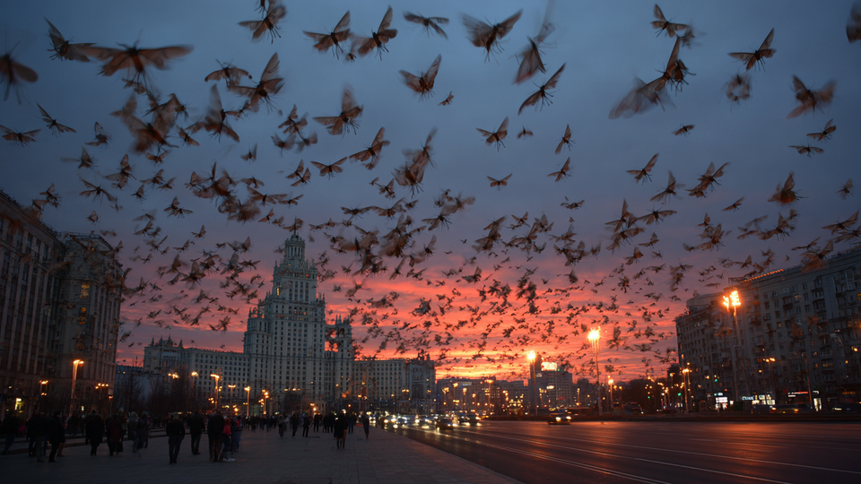 Фото: © РЕН ТВ