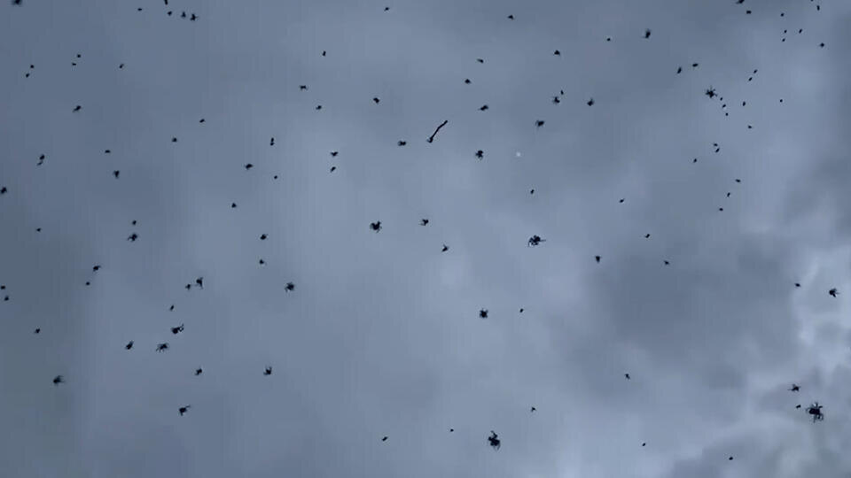 ФОТО: Кадр из программы "Как устроен мир", РЕН ТВ