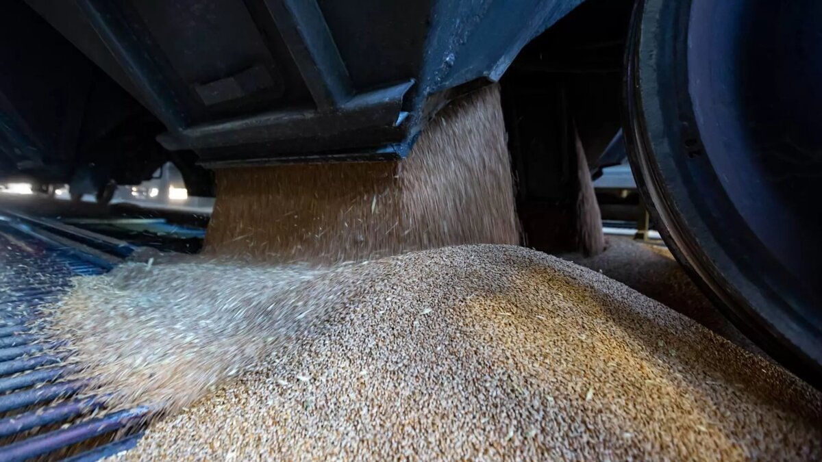 © Photo : Минтранс России