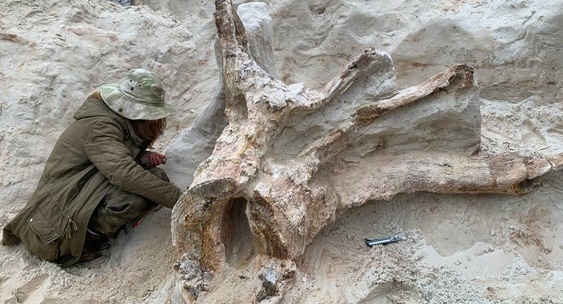 Источник: Телеграм-канал Антона Барашенкова 