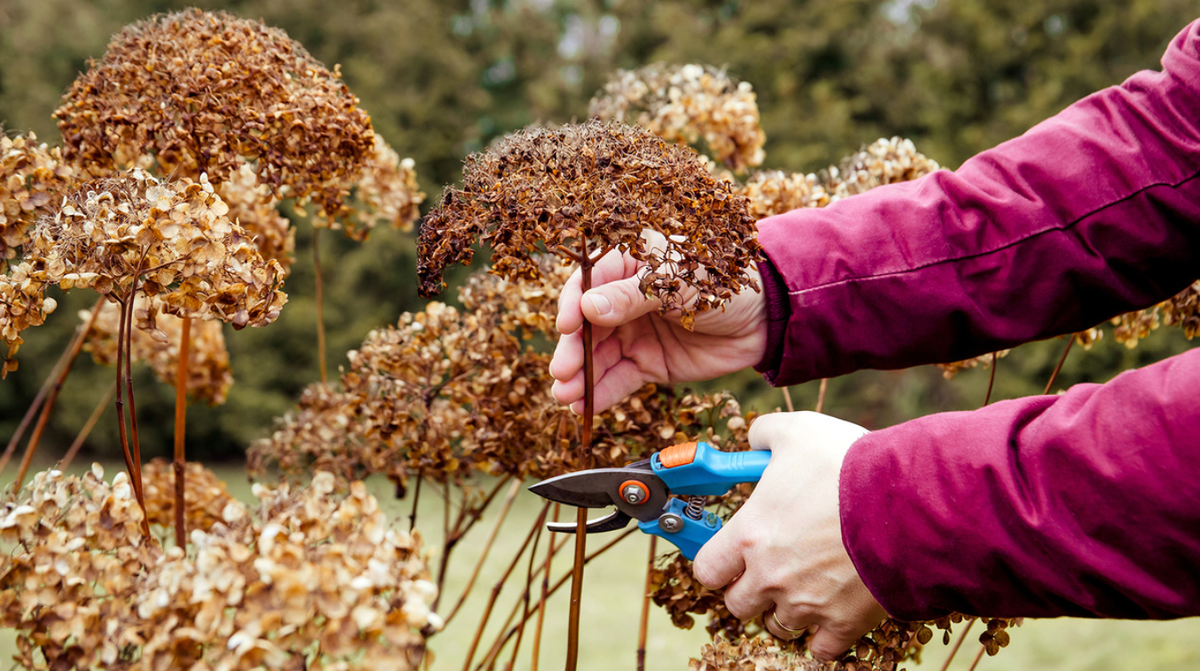 Источник фото: dzen.ru