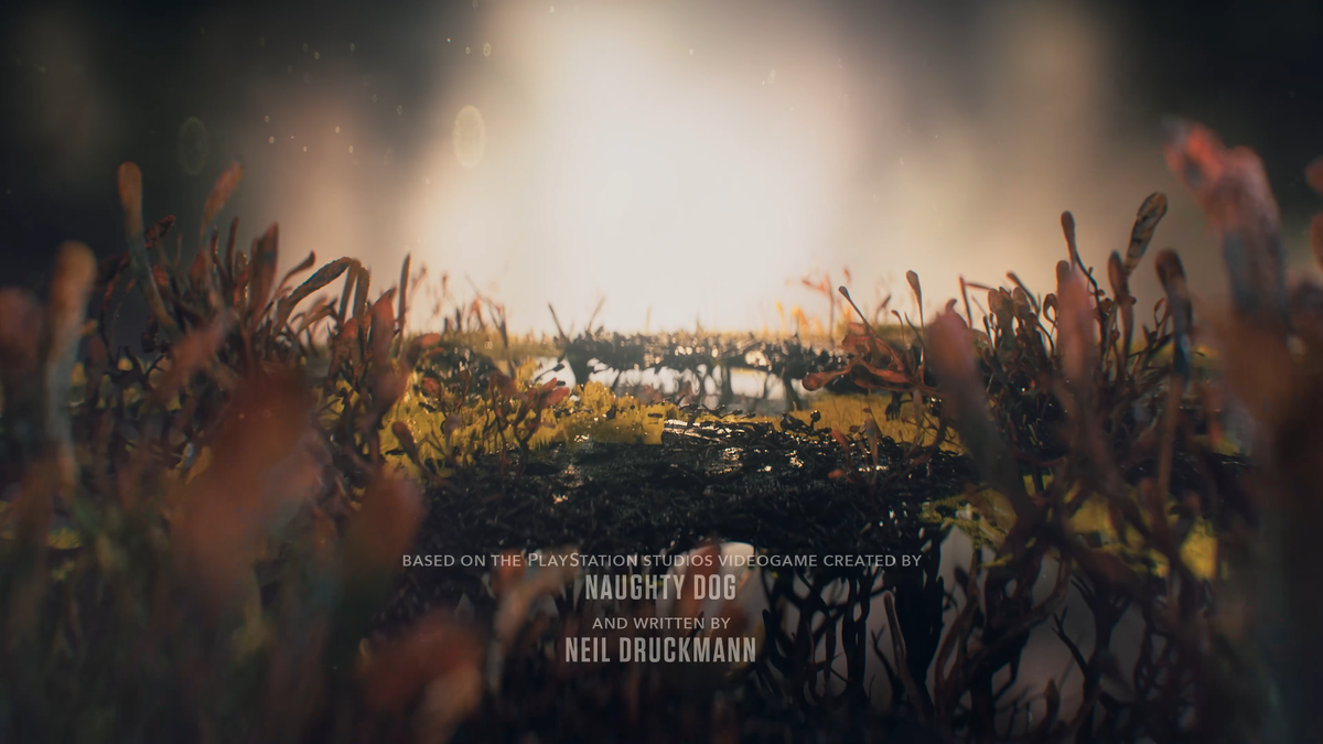 Тема передачи информации через сети грибковых нитей хороша передана в сериале "Одни из нас"