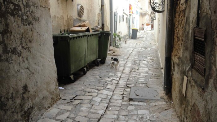 На соседней улице стоит роскошный дворец, который значительно улучшает общую статистику / Фото: Vostok.Today