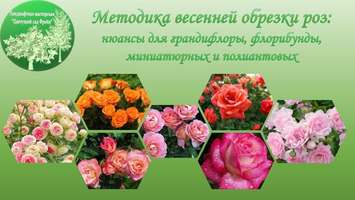 Фото автора с использованием изображении по Лицензии CC0