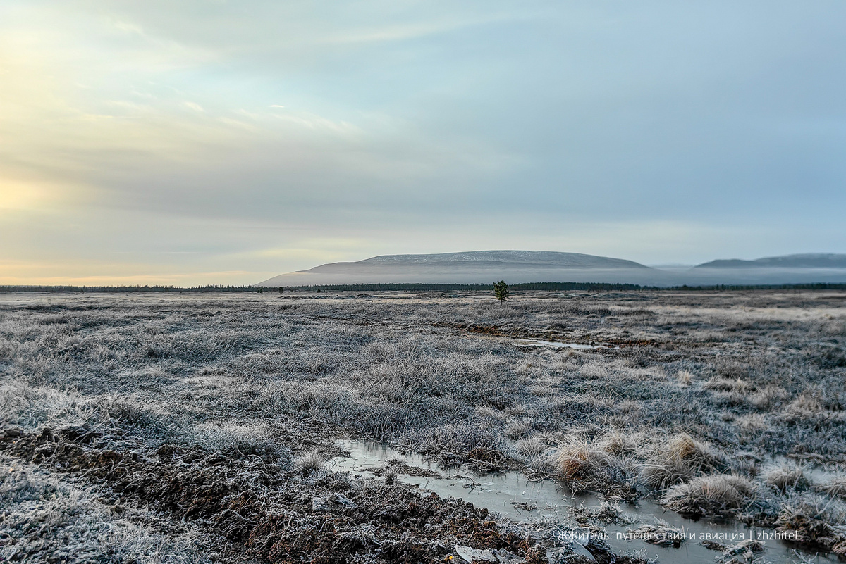 Ловозерские тундры