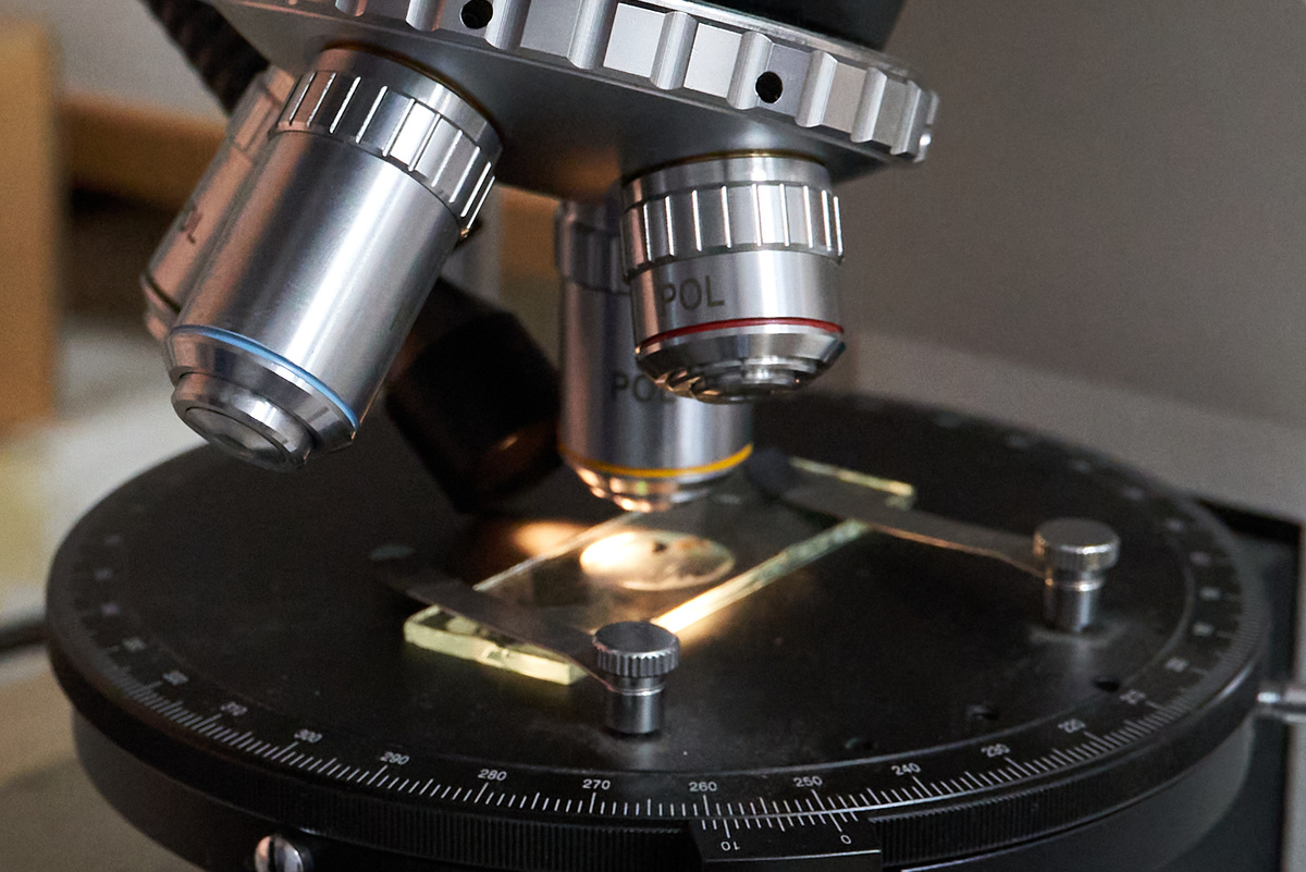    Фото: Лидия Аникина