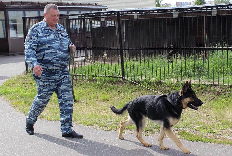    Андрей Садаков и Аскер