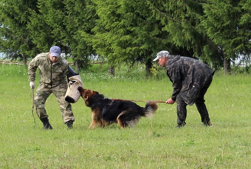   ЦКС УМВД Кировской области