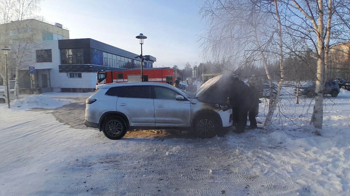    Фото: Роман Лузанов / «Ямал-Медиа»