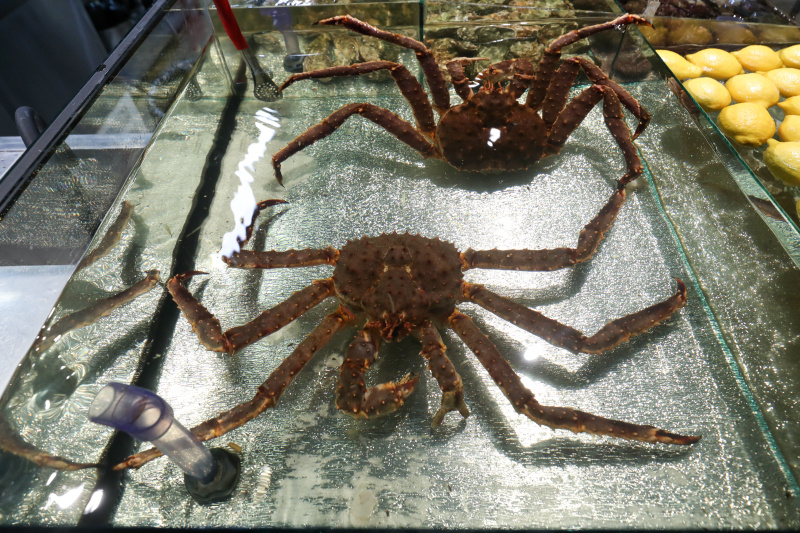    Фото: Sergey Petrov/news.ru/GlobalLookPress