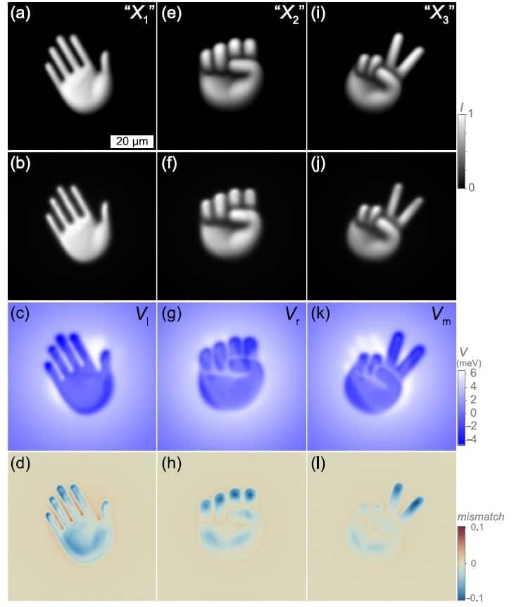    В верхнем ряду показаны целевые изображения, в среднем ряду — фактически полученные в симуляции распределения плотности поляритонов, а в нижнем — рассчитанные потенциалы. Совпадение между целевыми и полученными изображениями подтверждает высокую эффективность предложенного подхода / © E. Sedov and A. Kavokin, Phys. Rev. A 112, 043517 (2025)
