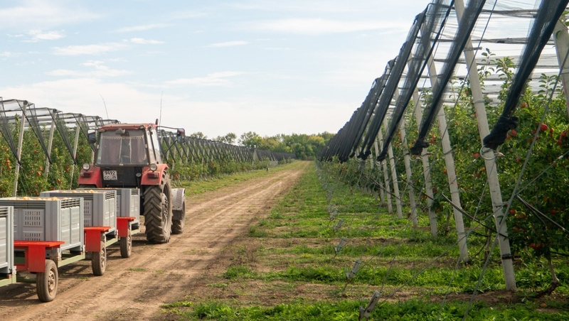      Фото: ИА «Победа26»