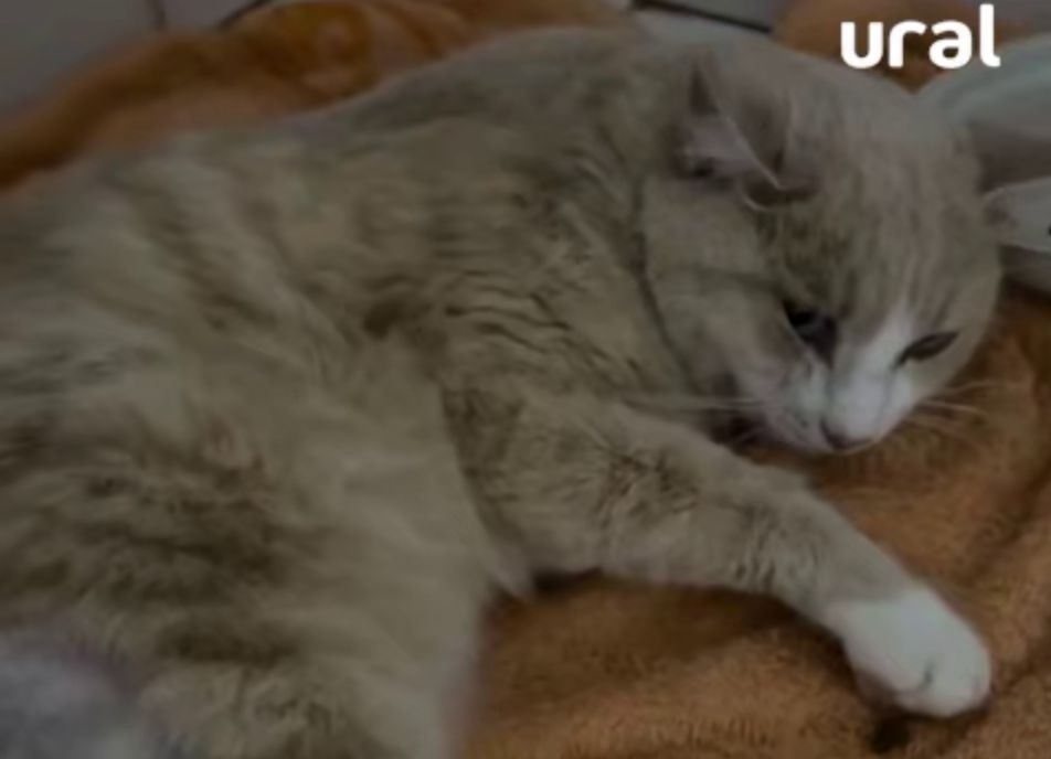    Telegram канал "UralMash"