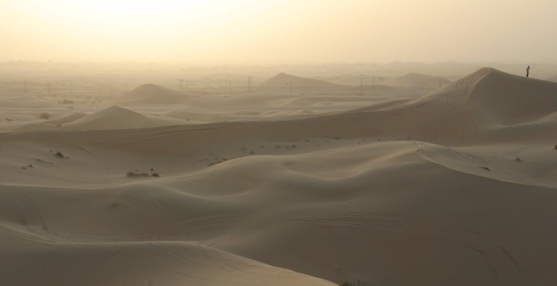    Фото: НИА "Экология"