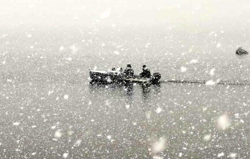    фото: © Сергей Шихуцкий