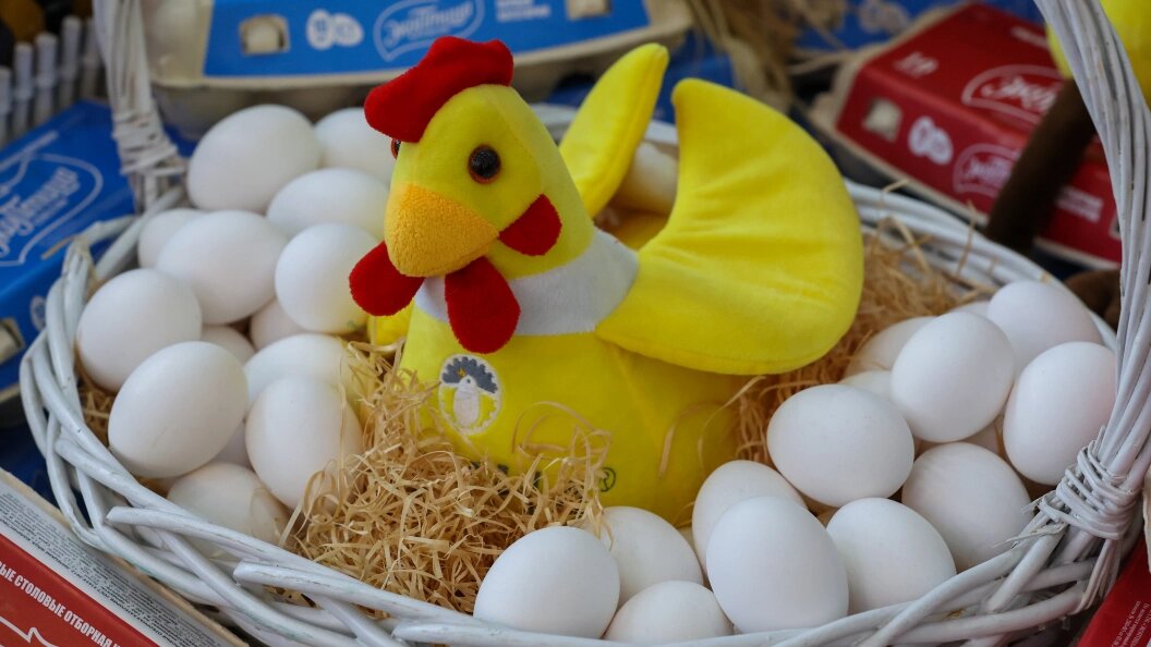    Фото: Belkin Alexey/Globallookpress.