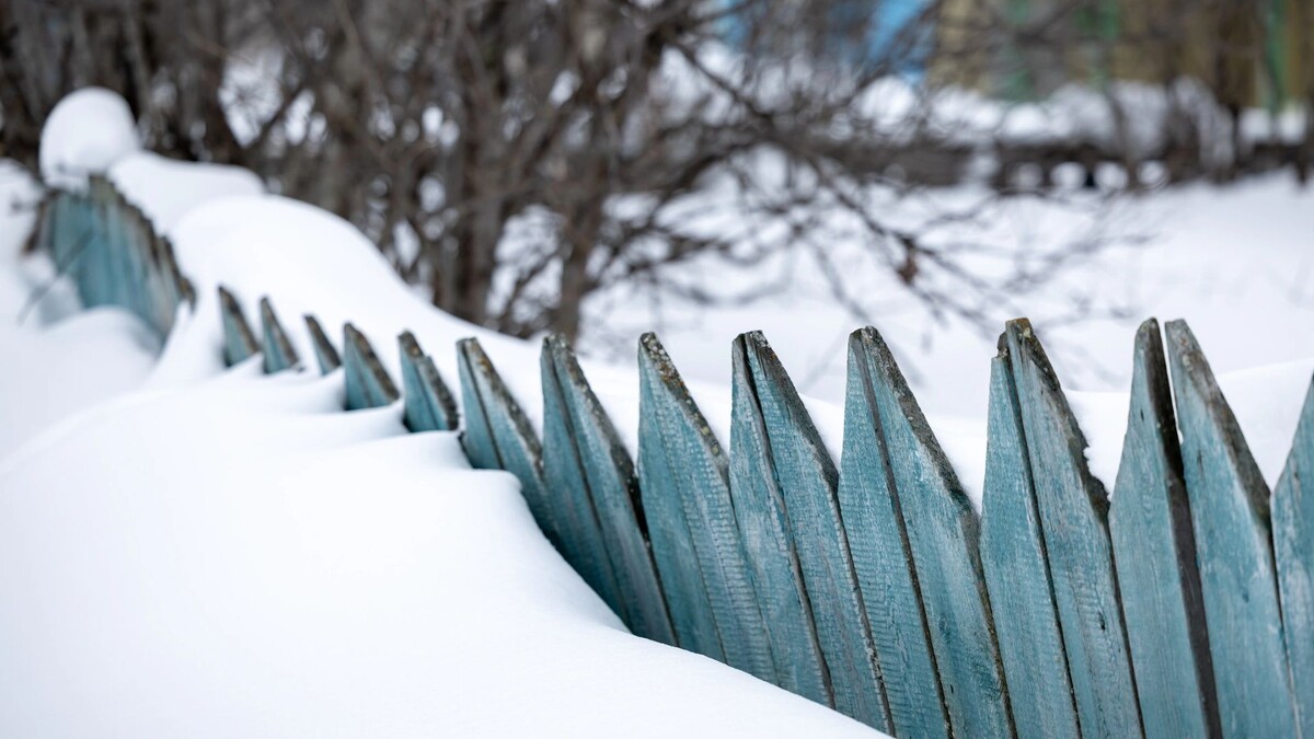    Фото: Юлия Чудинова / «Ямал-Медиа»