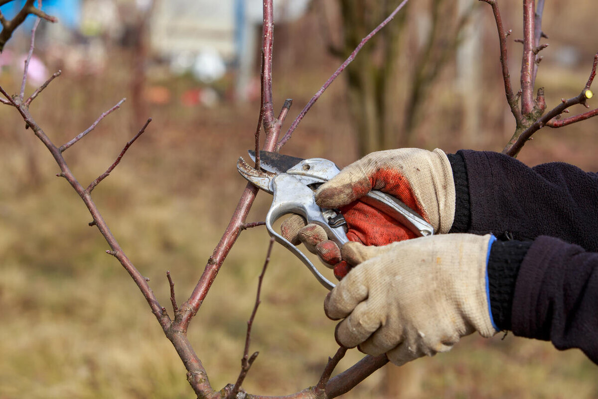     123RF/legion-media.ru