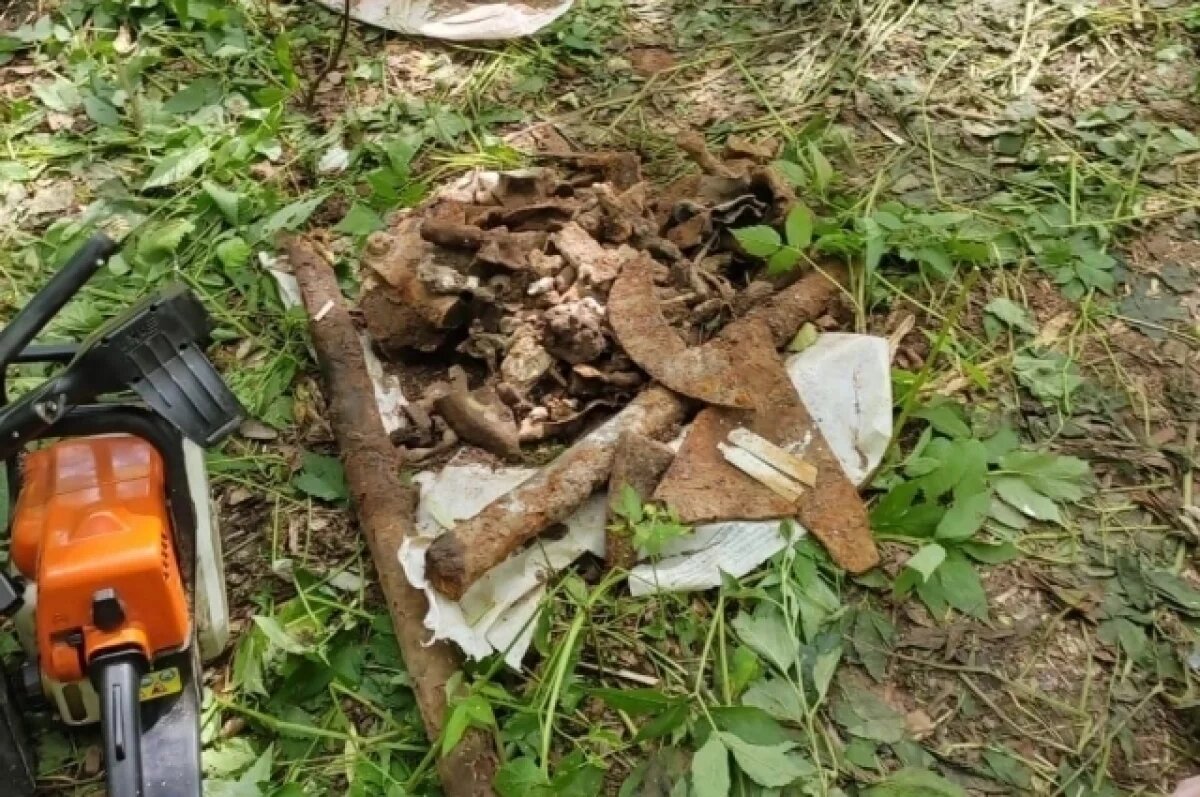    Носит иллюстративный характер