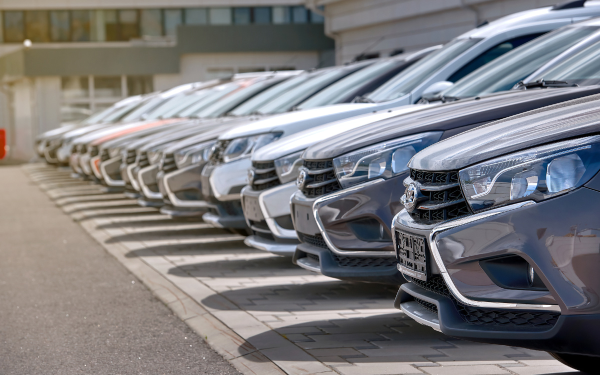 Фото: Shutterstock