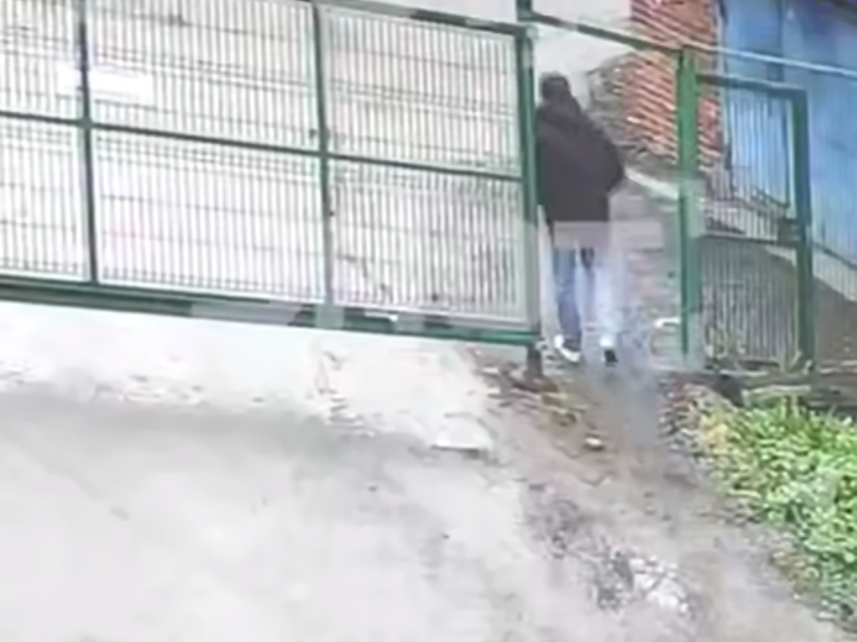 Фото: соцсети