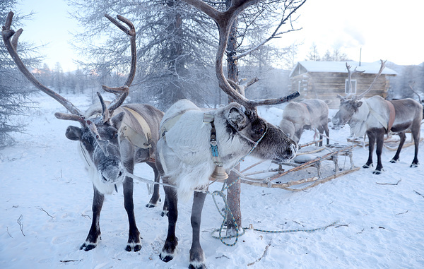 Вадим Скрябин/ТАСС