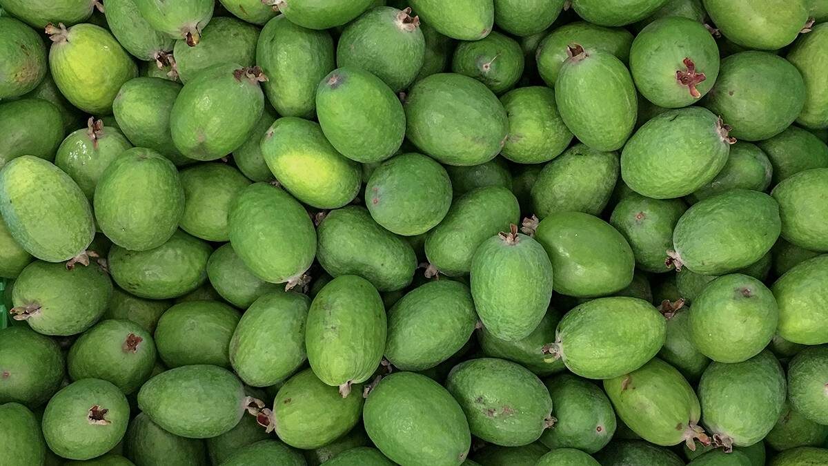    Фото: Shutterstock