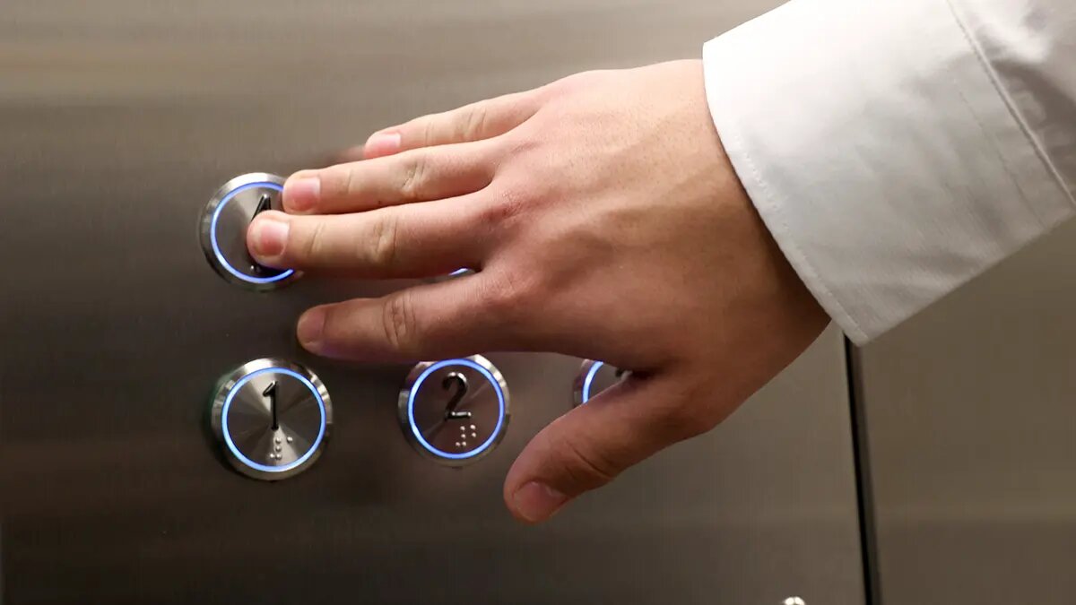    Фото: vm.ru Олеся Шмелева