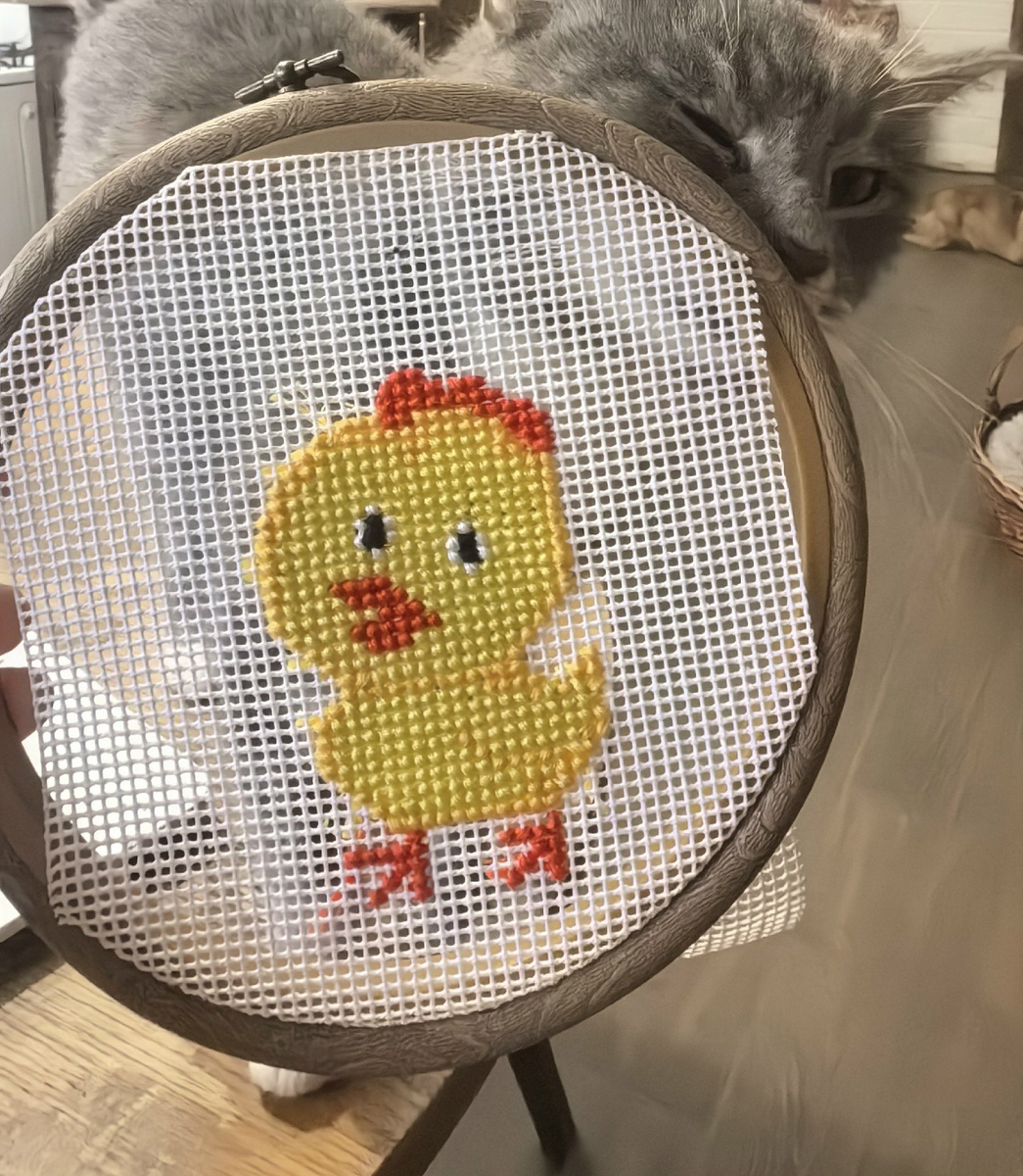 Цыпа и Сеня