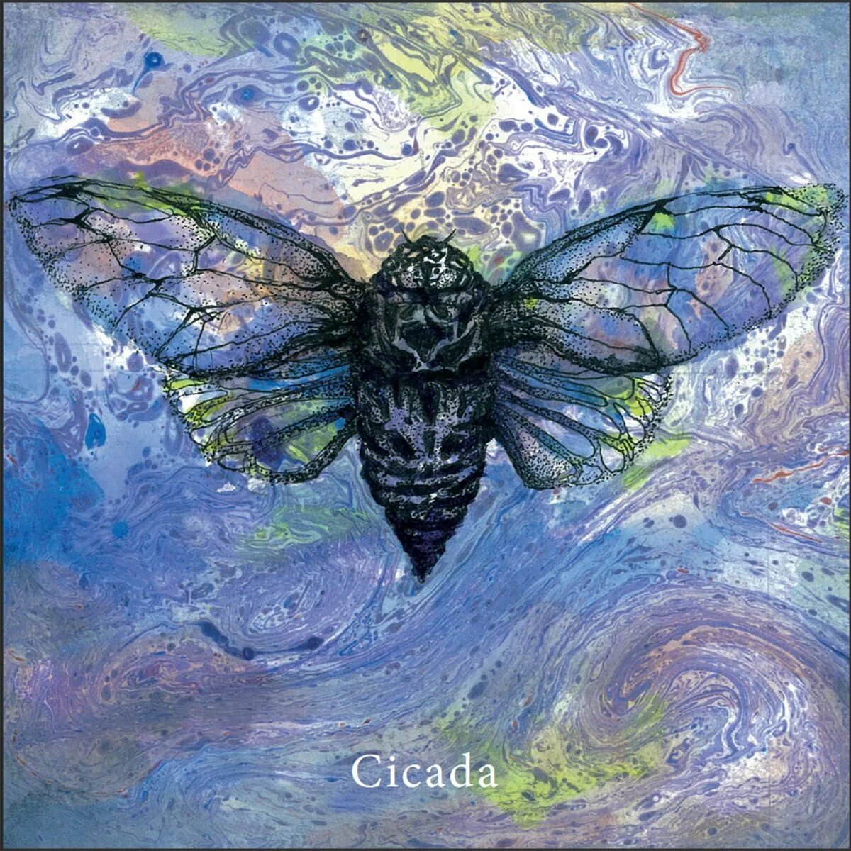  Их песня — это звуковая магия жаркого лета. Сложный механизм, превращающий тело в инструмент, и символ, пронизавший века человеческой истории